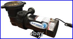 Blue Torrent MX210DNSGS Maxi-Pump Dual Speed 1HP Aboveground Pool Pump Blue Torrent MX210DNSGS Maxi-Pump Dual Speed 1HP Aboveground Pool Pump