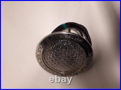 Pentair Amerlite 78451100 Underwater Incandescent with Stainless Steel Ring