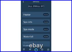 Pentair IS4 (Alexa) Spa Switch Remote Spa side Remote 4 relays