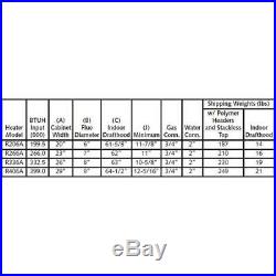 Raypak Digital 333,000 BTU, Natural Gas, Pool Heater for P-R336A-EN-C 009218